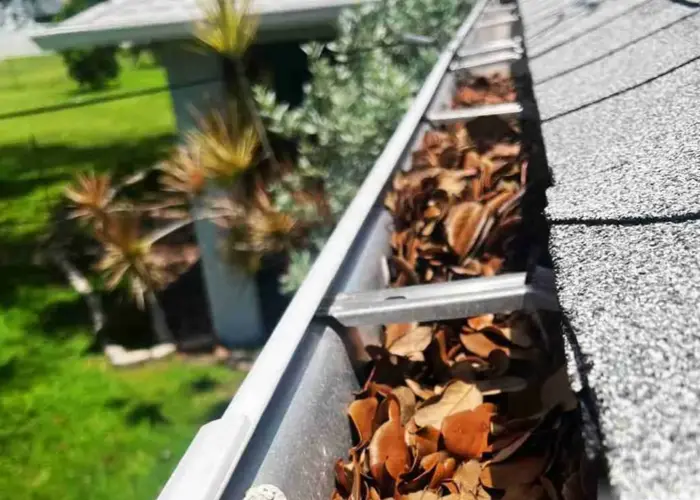 Grapevine gutter cleaning home page